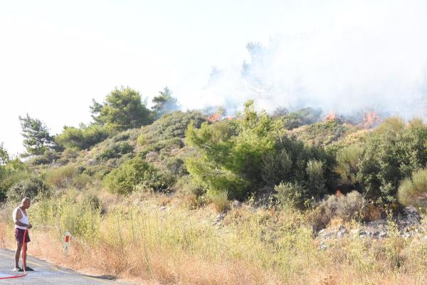 İzmir'de piknikçi ateşi ormanı yaktı