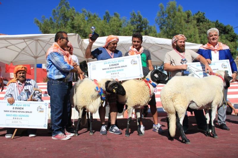 Çeşme'nin güzelleri yarıştı