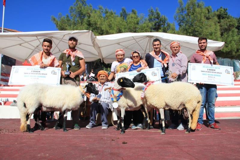 Çeşme'nin güzelleri yarıştı