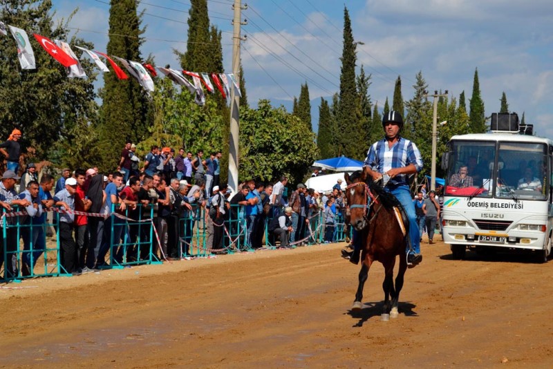 Rahvan atlar 31. kez yarıştı
