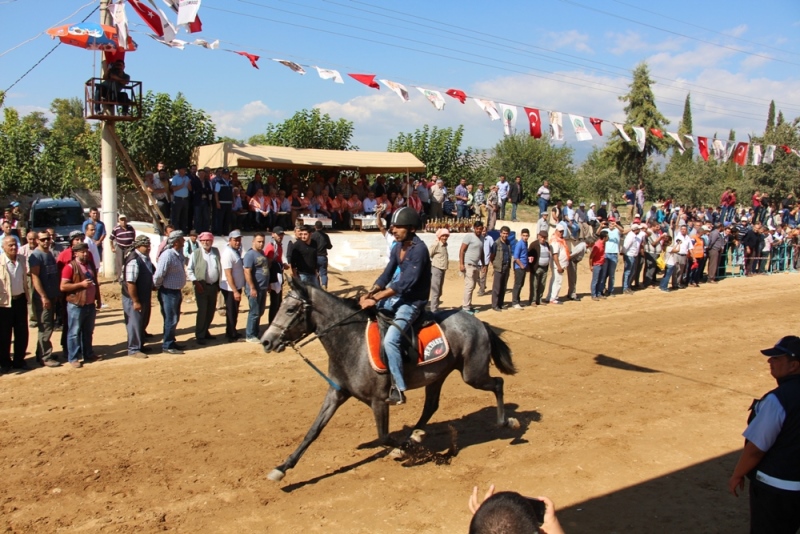 Rahvan atlar 31. kez yarıştı