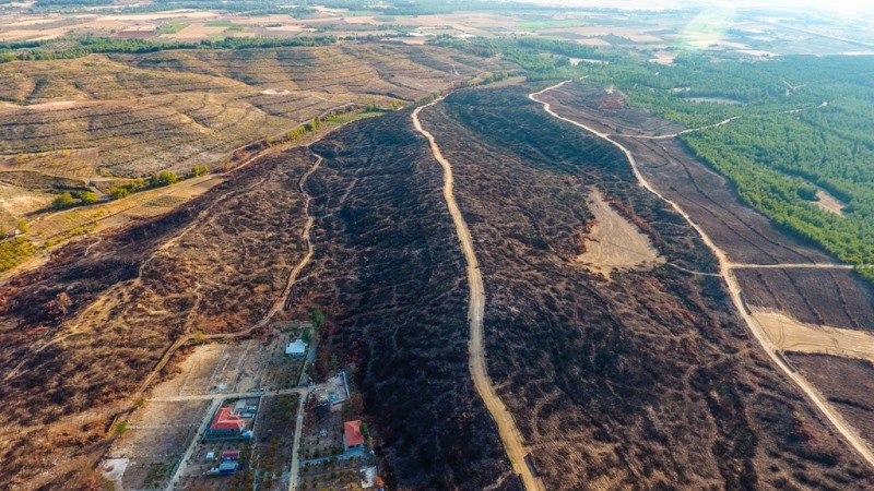 İzmir'in ciğerleri yanmıştı: İşte son hali