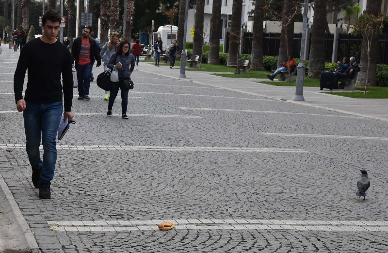 Karganın ekmek arası döner ziyafeti