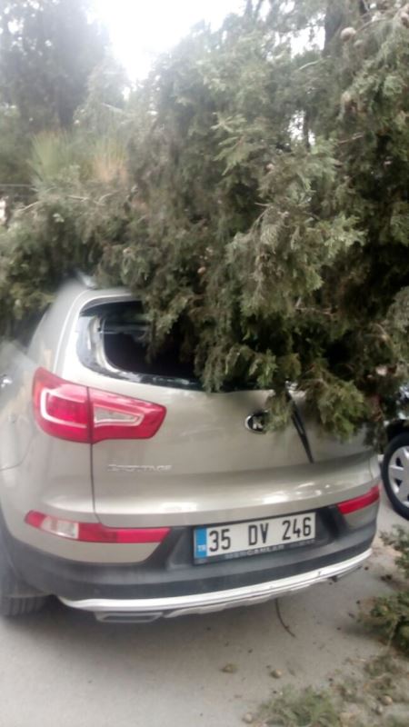 İzmir yağmur ve lodosa teslim!