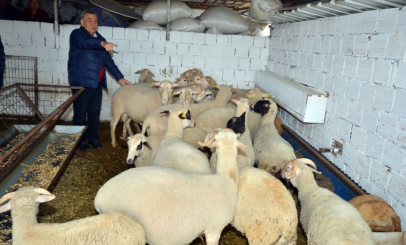 Kocaoğlu o projenin başarısını yerinde inceledi