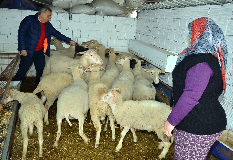 Kocaoğlu o projenin başarısını yerinde inceledi