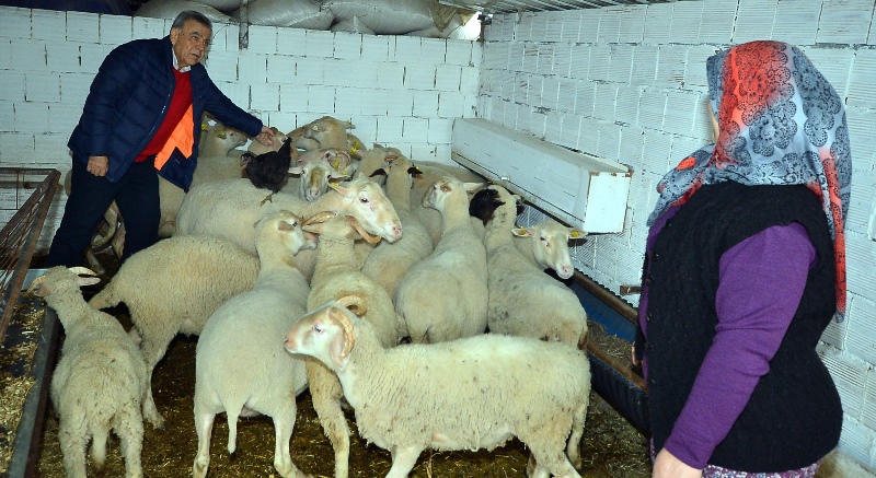 Kocaoğlu o projenin başarısını yerinde inceledi