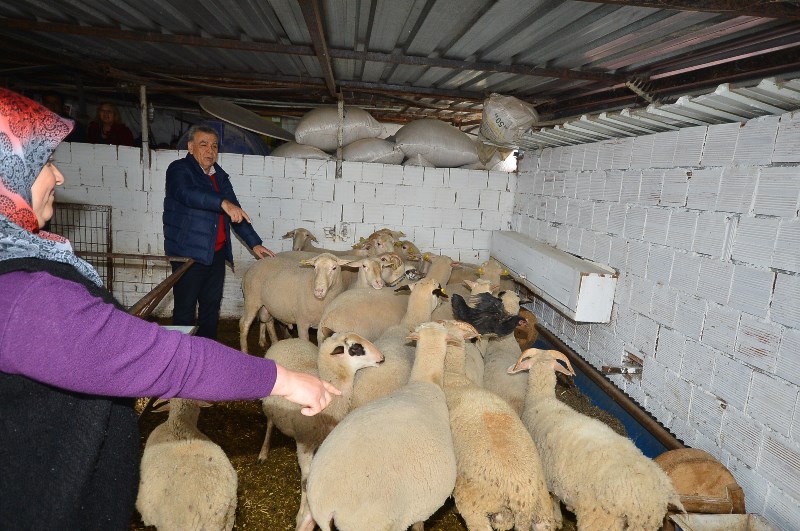 Kocaoğlu o projenin başarısını yerinde inceledi