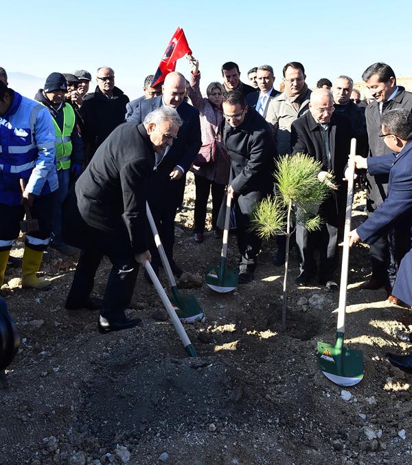 Gökdere'de ağaçlandırma seferberliği