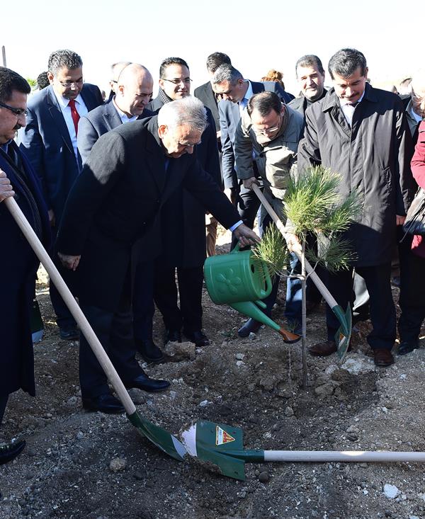 Gökdere'de ağaçlandırma seferberliği