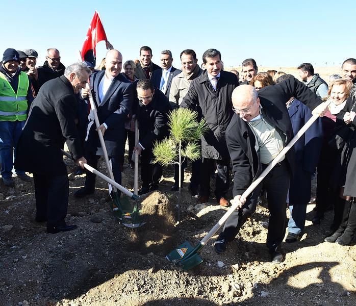 Gökdere'de ağaçlandırma seferberliği