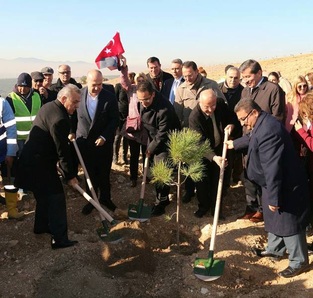 Gökdere'de ağaçlandırma seferberliği