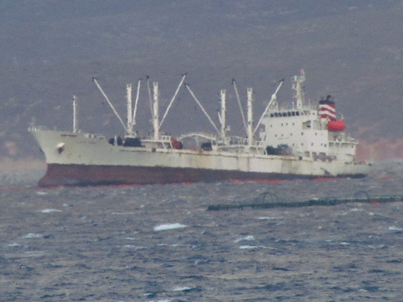 Sızan yakıt, Çeşme kıyılarını vurdu