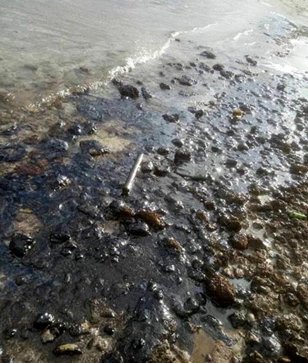 Sızan yakıt, Çeşme kıyılarını vurdu