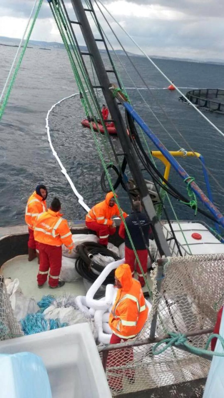 Sızan yakıt, Çeşme kıyılarını vurdu