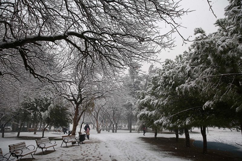 Vatandaşların imdadına Başkan Piriştina yetişti