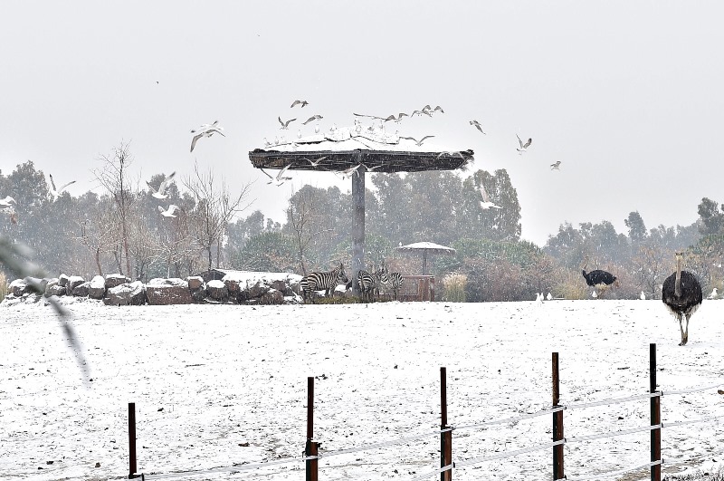 Doğal Yaşam Parkı'ndan kareler