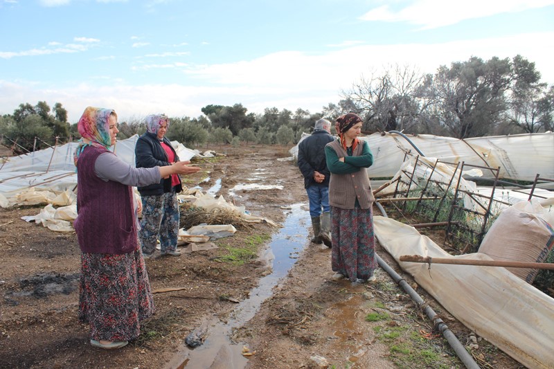 İzmirli üreticilerin emeklerini kar vurdu
