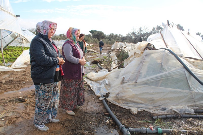 İzmirli üreticilerin emeklerini kar vurdu
