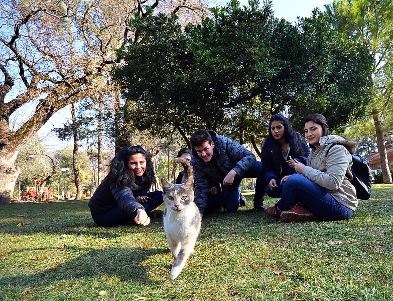 İzmir’de 'yeşil seferberlik'