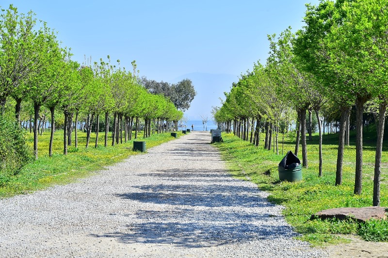 İzmir’de 'yeşil seferberlik'