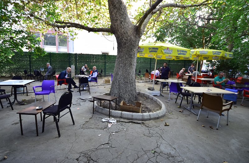 Çınaraltı Parkı’na Büyükşehir koruması