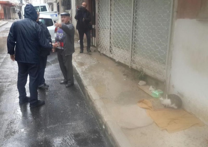 İzmir'de kedi besleme kavgası