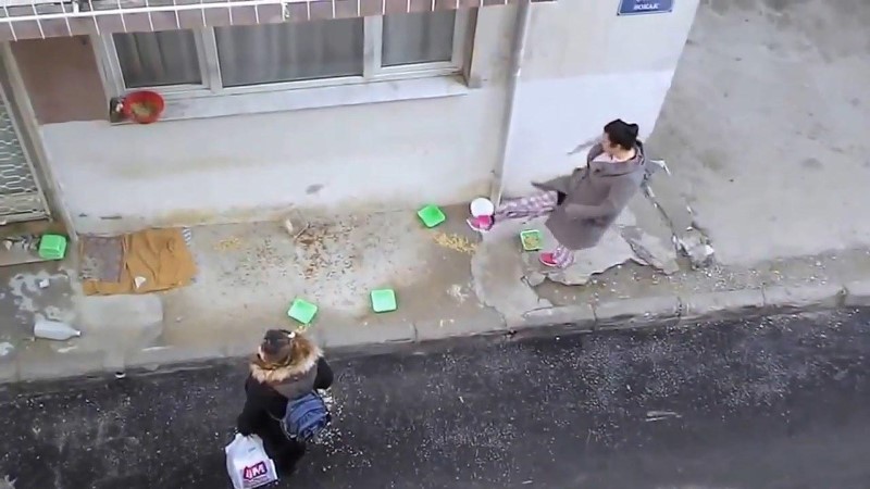 İzmir'de kedi besleme kavgası