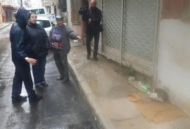 İzmir'de kedi besleme kavgası