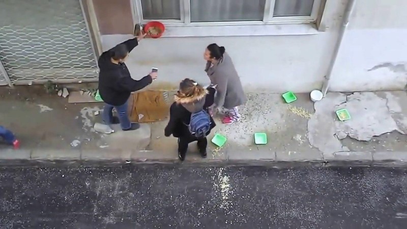 İzmir'de kedi besleme kavgası