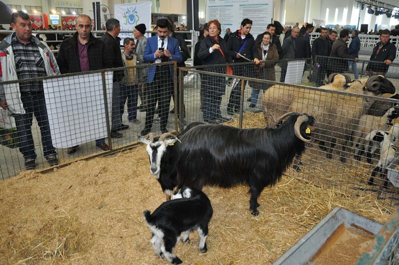 Türkiye’nin en büyük tarım fuarı İzmir'de açıldı