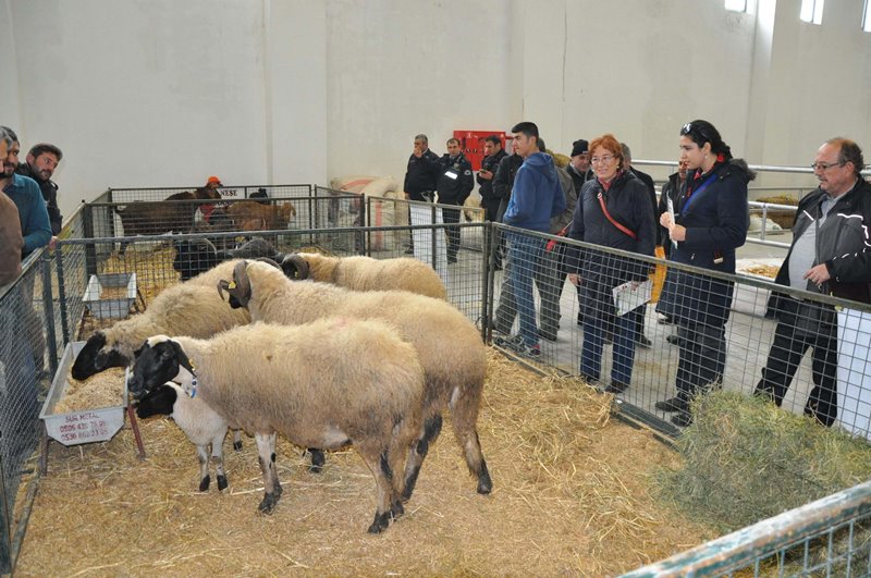 Türkiye’nin en büyük tarım fuarı İzmir'de açıldı