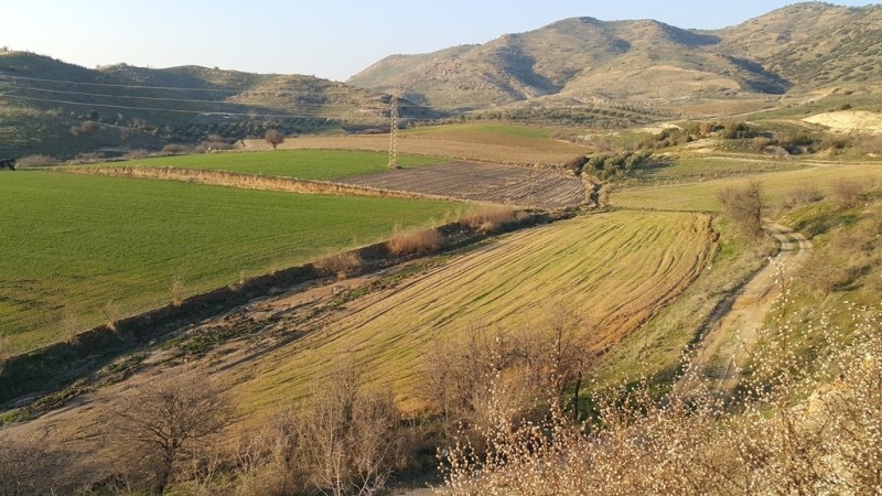 Koyun otlatırken tarihi kalıntı buldu