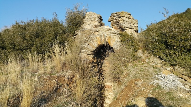 Koyun otlatırken tarihi kalıntı buldu
