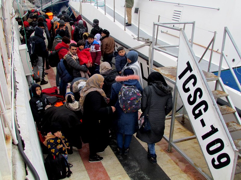 Kedisiyle umuda yolculuğa çıktı