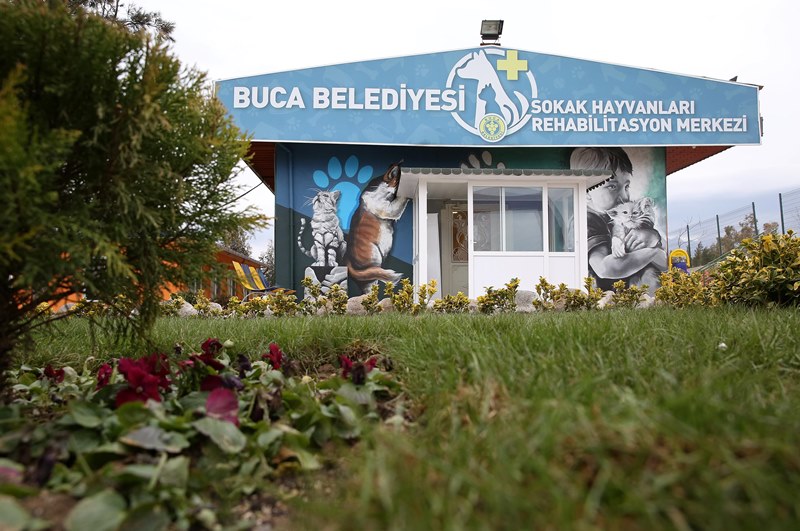 Buca’nın duvarları sanatla boyandı