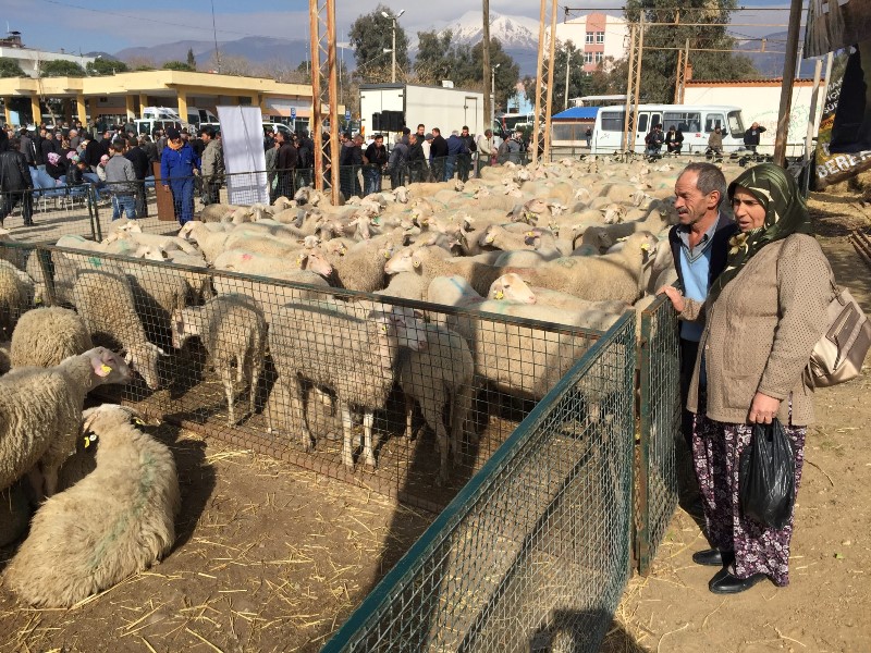 'Umut sürüsü' büyüyor