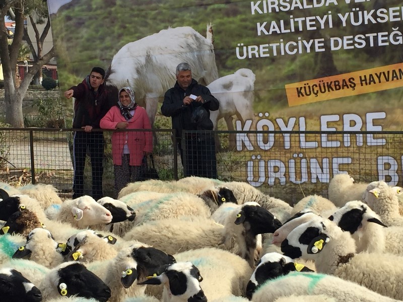 'Umut sürüsü' büyüyor