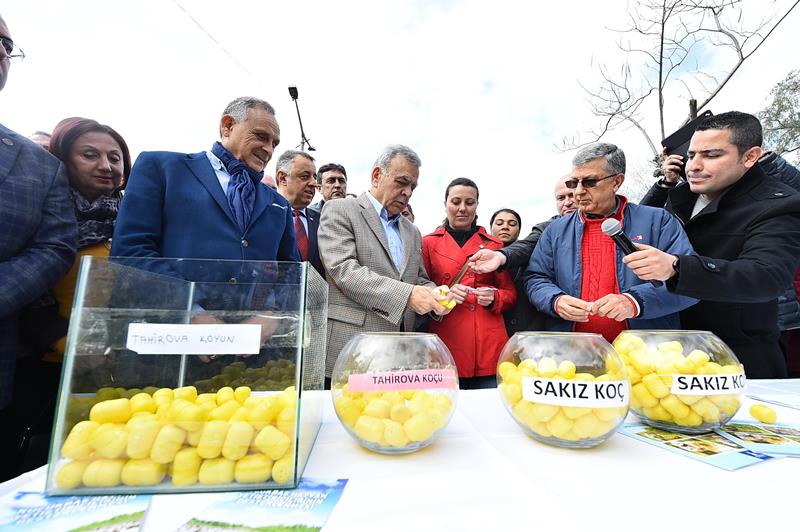 Kocaoğlu, Ödemiş'te üreticileri sevindirdi