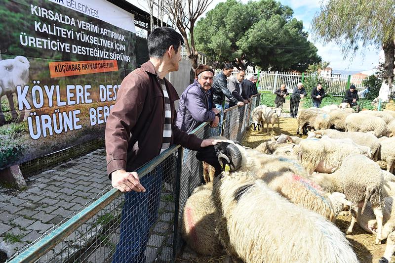 Kocaoğlu, Ödemiş'te üreticileri sevindirdi