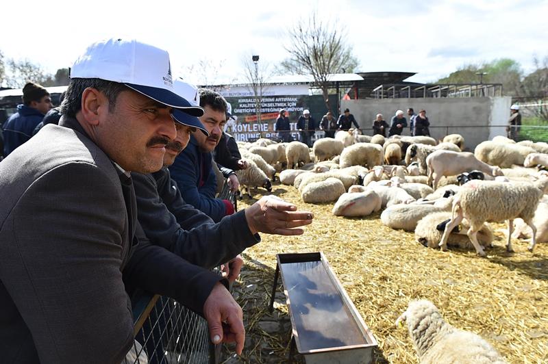 Kocaoğlu, Ödemiş'te üreticileri sevindirdi