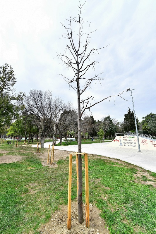 Hasanağa’ya “gençlik aşısı”