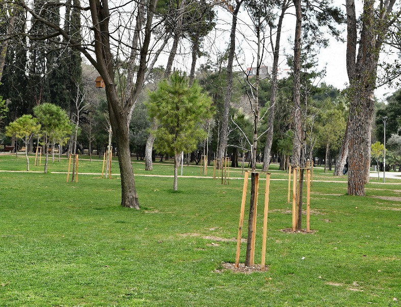 Hasanağa’ya “gençlik aşısı”