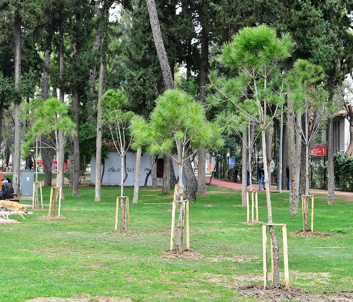 Hasanağa’ya “gençlik aşısı”