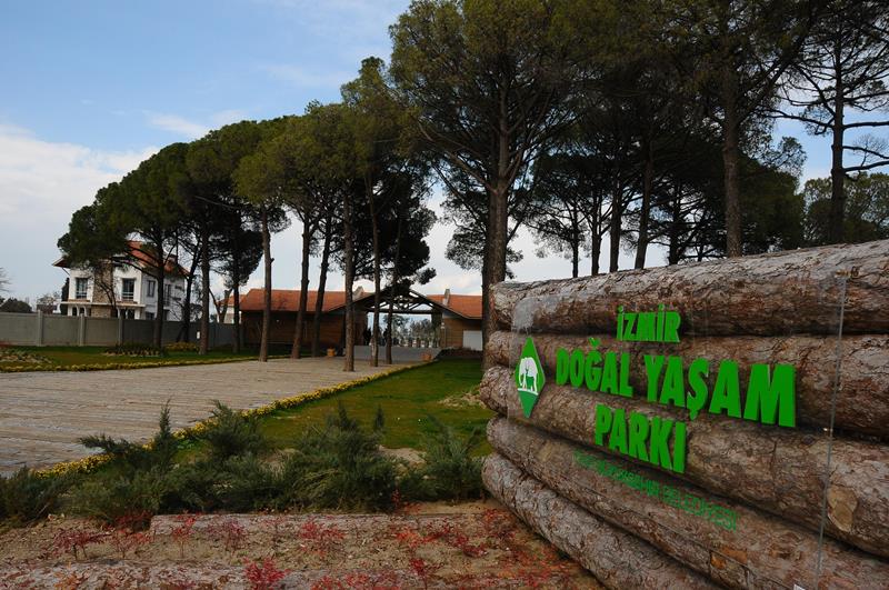 İzmir sizi çağırıyor