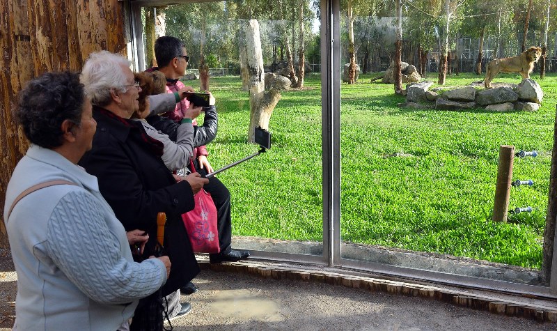 İzmir sizi çağırıyor