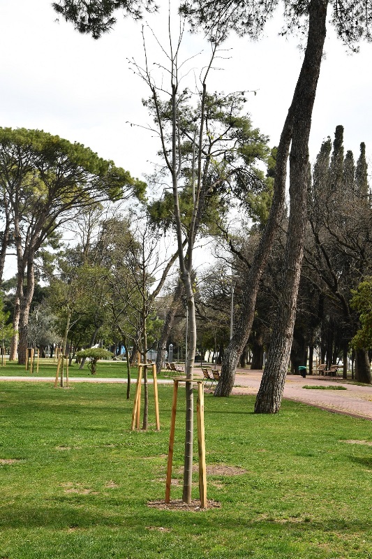 Hasanağa’ya “gençlik aşısı”