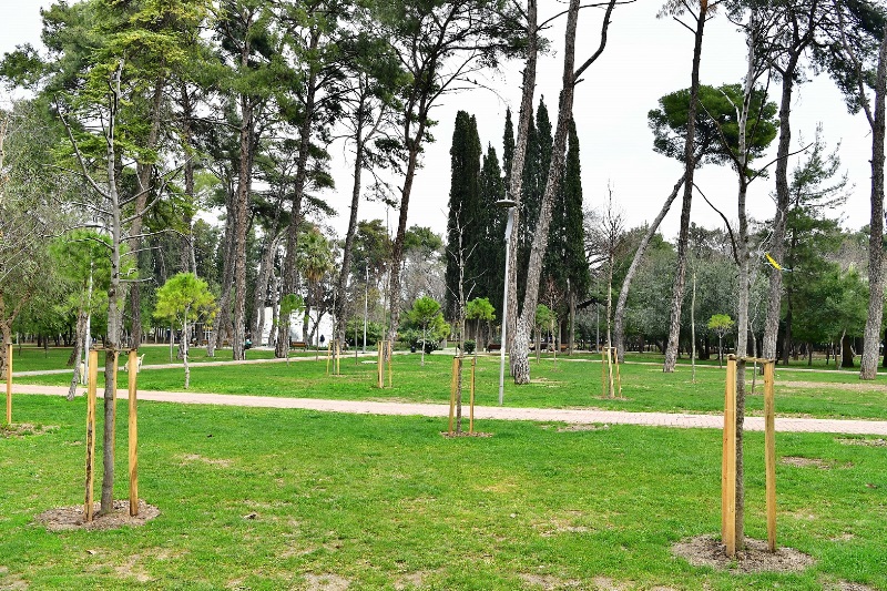 Hasanağa’ya “gençlik aşısı”
