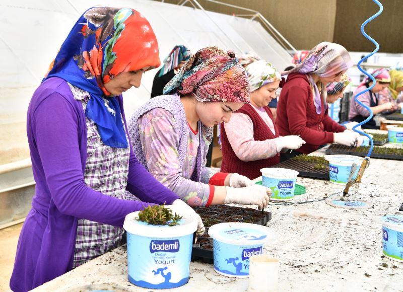 Ödemiş'te üreticinin yüzünü güldüren imza