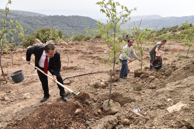 Gönüllü doğaseverler